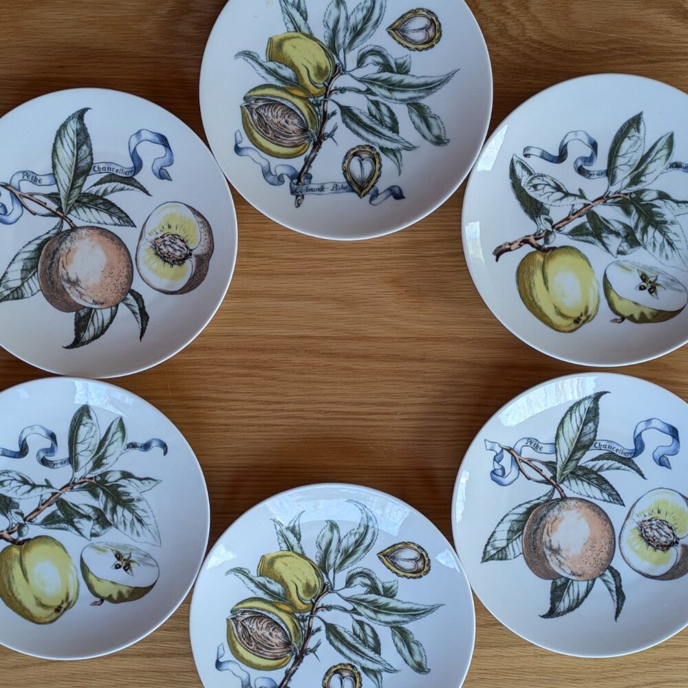 Vintage Bareuther Bavaria Botanical Fruit Plates Set-6 Pattern 132 Hand Painted